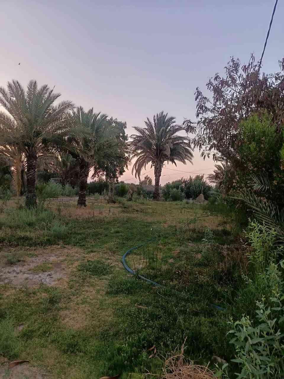 ٥ دونم • طريق دجيلي • حديقة ٦٠٠م