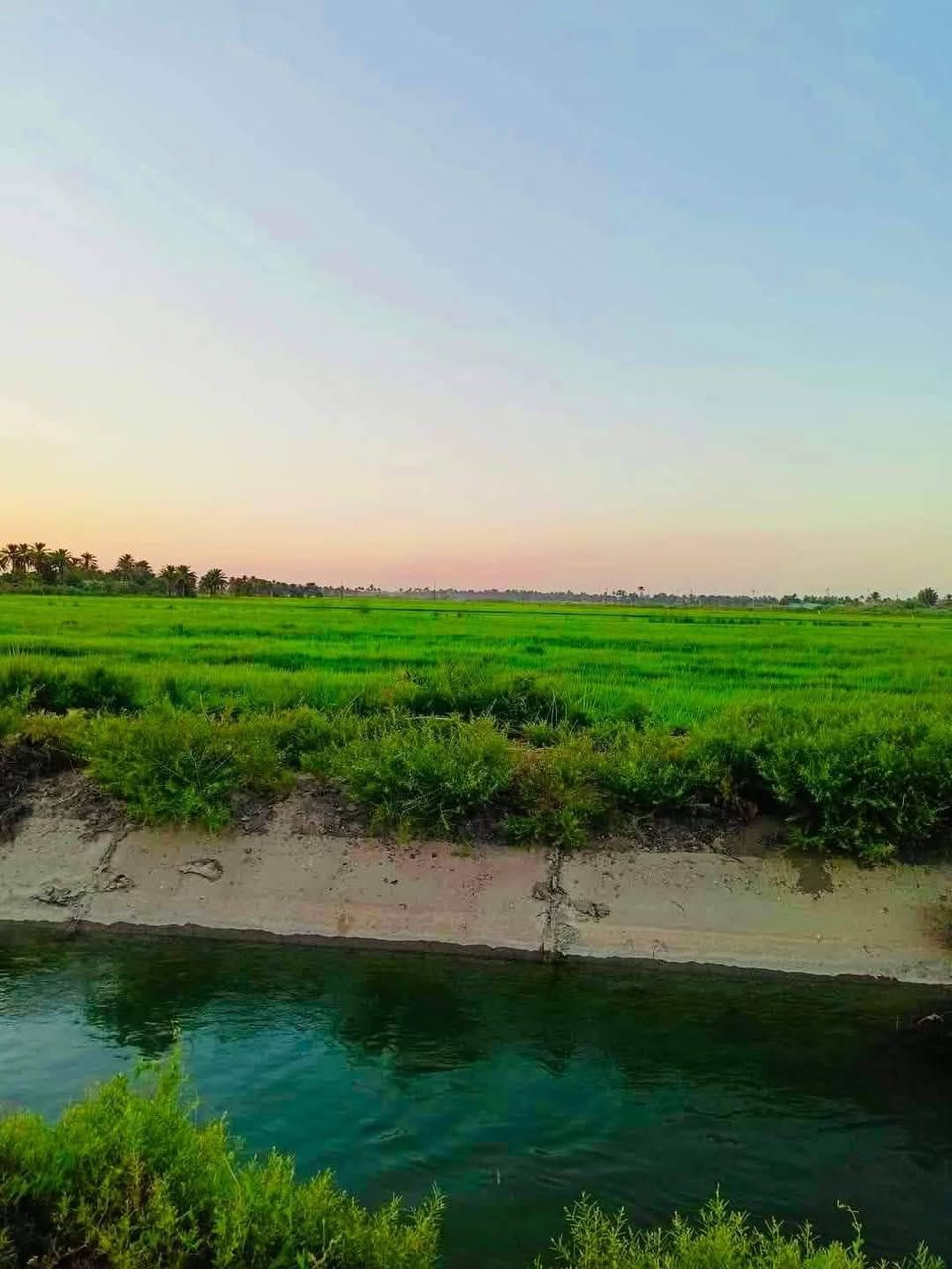 السلام عليكم
ارض للبيع لاصحاب الامكانيه القليله 
جايبلك 6 دوانم السعر 7 مليون قفل للدونم الواحد
ابد مابي خساره وخدماته ماء وكهرباء وطريق وواجهته مرتبه
تباع حسب الطلب جنس الارض طابو سند 25 فتح بيان بأسم المشتري العنوان تاجي سبع البور منطقة الشيخ عامر (منطقة العيساويه عبور الجسر الثاني منطقة سكنيه وزراعيه) عيش رفايهيتك وسعار مرتبه وحلوه وفرصه ذهبيه ما تضيع ان شاء الله تشتري ب 7 بعد كم شهر تبيعه ب 15 ووالله العضيم ابد ماكو خساره وكلام معروف انو العقار مابي خساره وهواي ناس اشترت بلشيخ عامر واطرافهه واتساب *********** 🌳🌳

