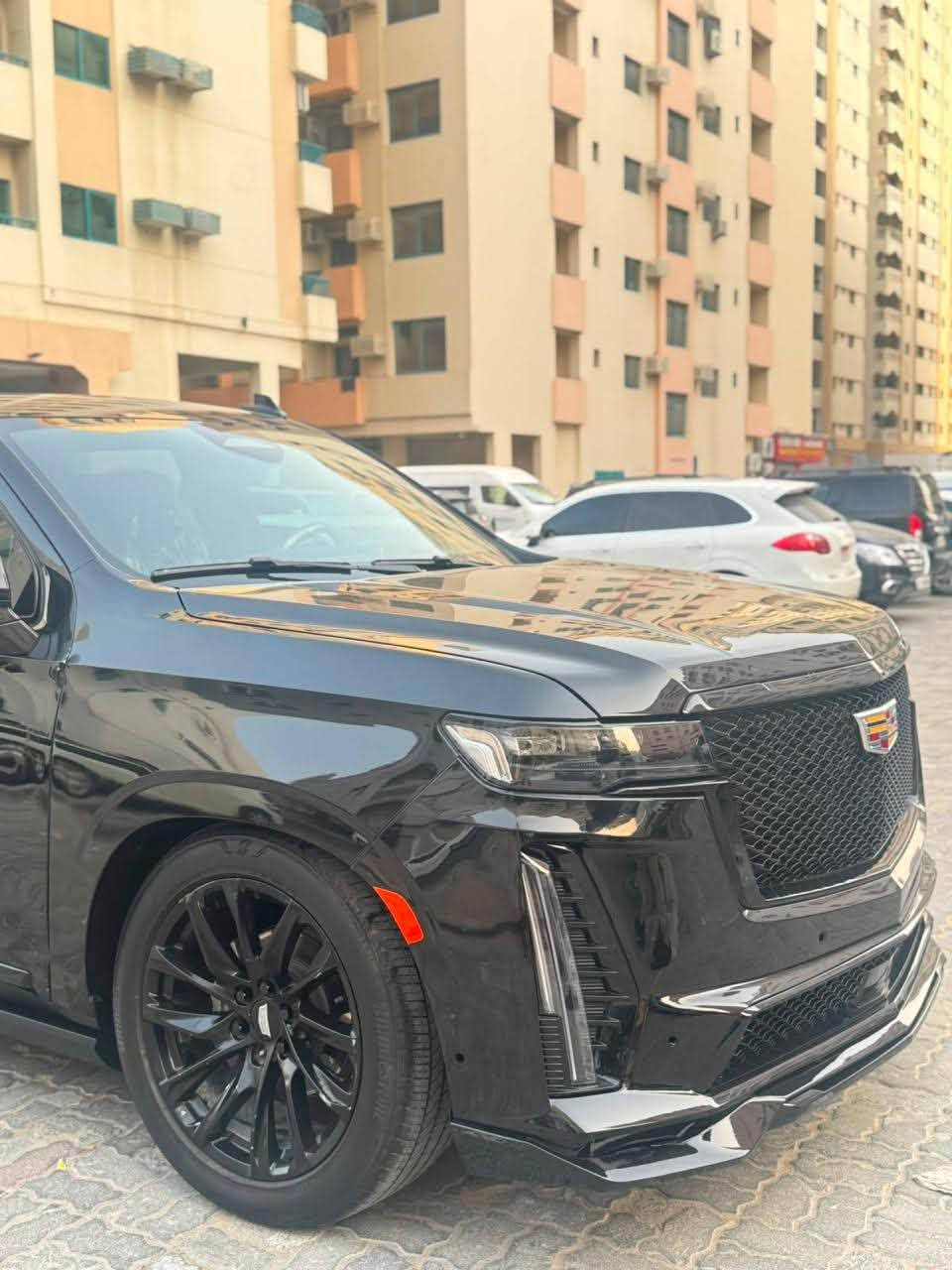 سكاليد • ٢٠٢٤ • شاص طويل