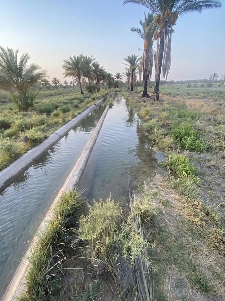 المساحه دونم وربع
ارض زراعيه عقد 117
تبعد كيلو ونص 
ع شارع العام حله ديوانيه
كهرباء قريبه
مي سقي
محافظة بابل
منطقه هوئ الشام
للستفسار اتصل ع الرقم ***********
سعر كامل ب25 
اخوان اي استفسار اتصل ع صاحب لارض
 اني مكلف بل نشر اعتذر ع الرد
