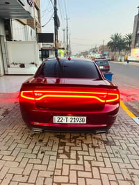 جارجر sxt موديل 2023 بدون صبغ فقط بارد بل جاملغ وبنيد ماشيه 36 باسمي ت...