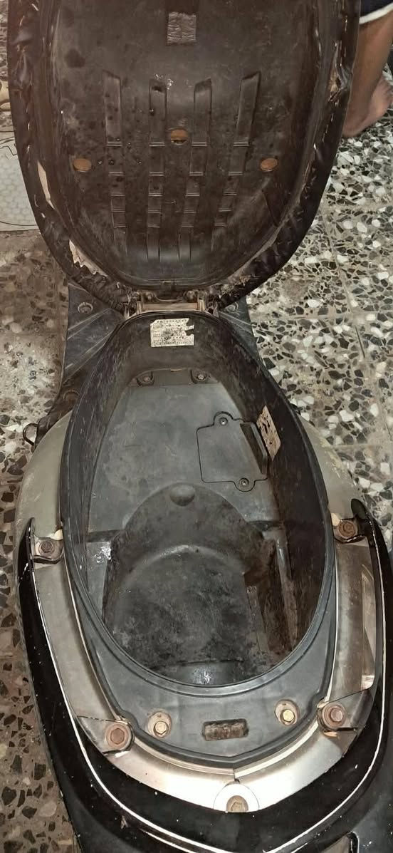 سكنس ثعلب • سلف • كامل