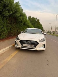 سوناتا ٢٠١٩ • خليجية • كشنات جلد
