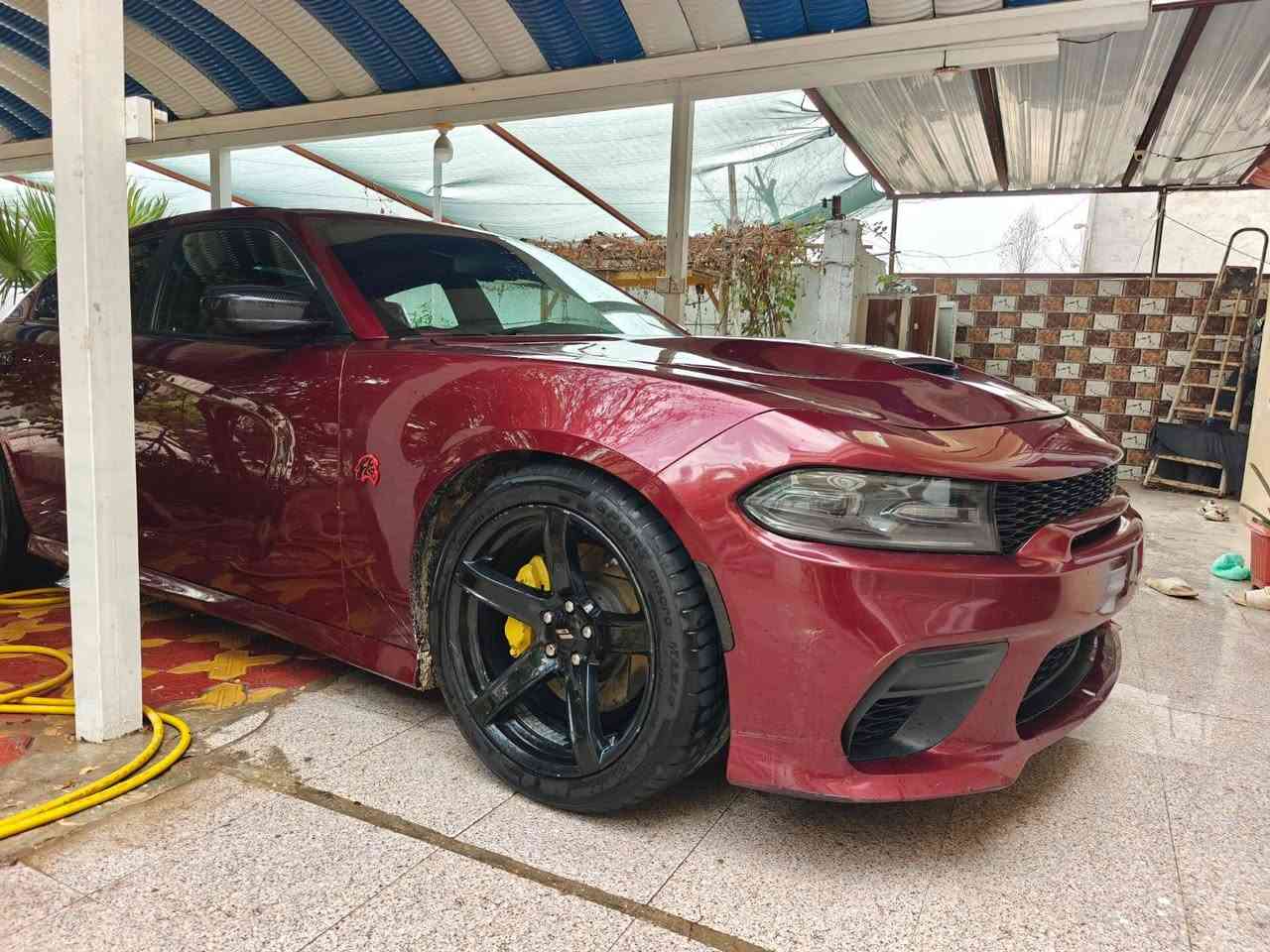 مراوس فقط جارجر ١٨ srt اصل رقم بغداد انكليزي بسمي مكينه وكير بالكارتوه ٦٤٠٠ ماشيه ٥٠ الف حقيقي لون كرزي
انظمه قياده فول اكسل قفل بلاد
دبلات srt الصفر بلاد
شاشه كبيره كار بلي
كشنات حضن srt وكشن السايق والصدر كهرباء
تشغيل عن بعد
حجر بيئه وصالنصات بلاد صورت رعب 
تبريد ثلج لايت زنون واصفر بنفس الوقت تريده زنون تريده اصفر
مكان السياره ناصريه و كربلاء
اخوان التواصل على الواتساب
***********
مراوس فقط
