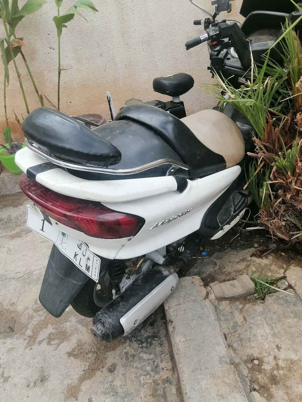 دراجه • للبيع • بي مجال
