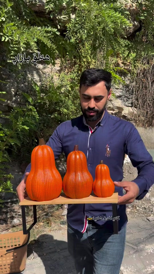 ديكور منزلي • كوردستان • أربيل
