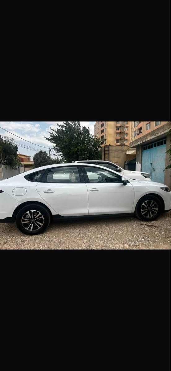 Byd quin plus 2025
ناو زه رد و ويل كروم
٣١.٠٠٠ كم روييه 
رسمي قوپه كم دانايه
بي سبوغ بي تعديل گير و مكينه و كاره با به شه رته 
سعري ١٤٠$ مجاليكي برايانه *********** 
مجاليكي زور كمي تيدايه موشتري بيزارمان مه كه أربيل, العراق
