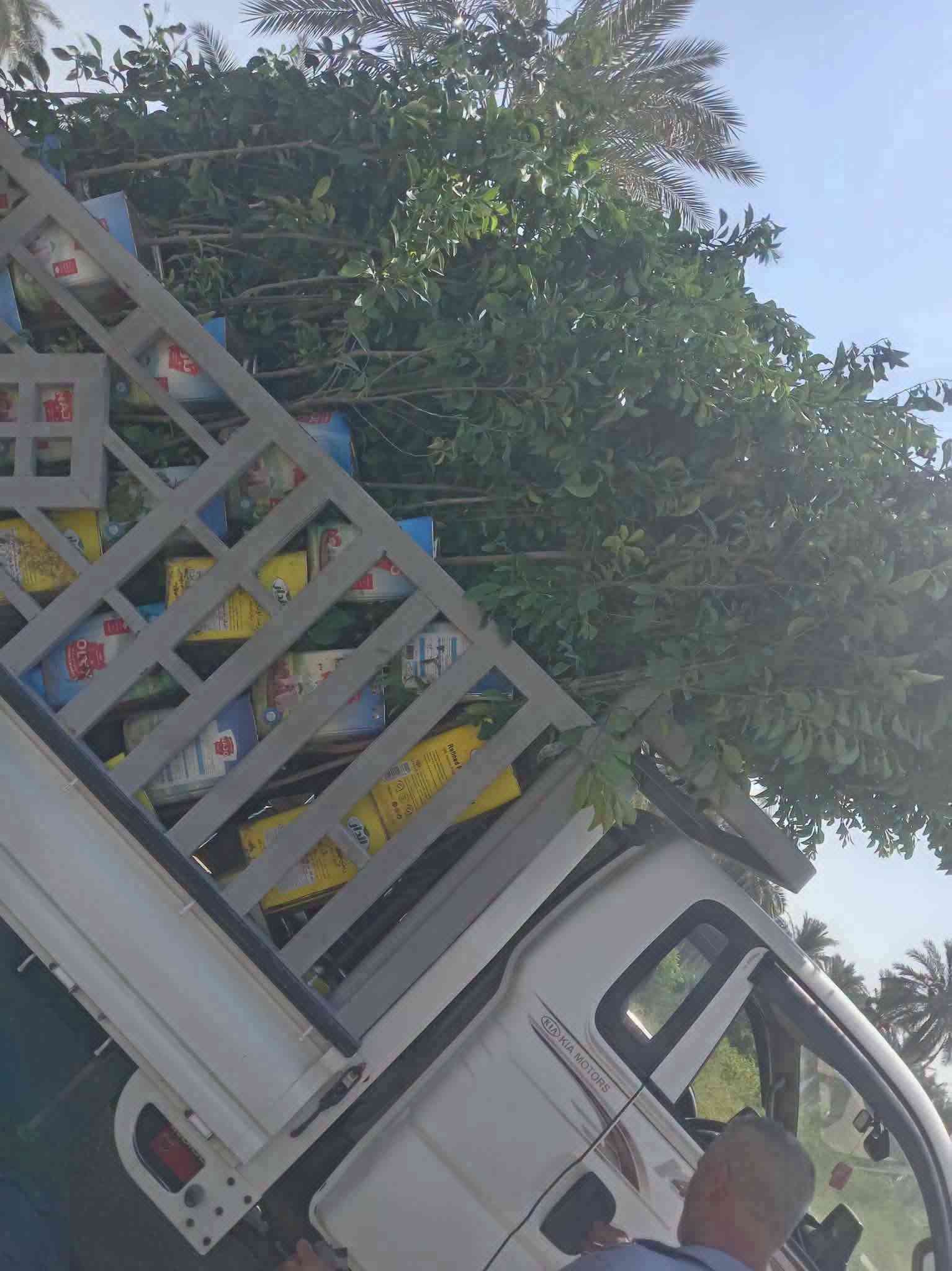 مشتل الرضوانية • بيع جملة • شتول ونباتات