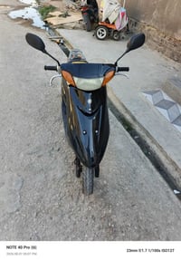 عصفوري • نضيفه • بوش وبستم