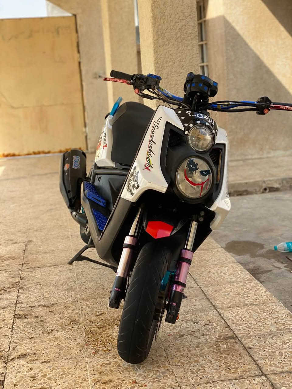 سكنس • كفاله • جديده