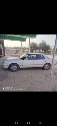 شيزر • ٢.٥ • رقم نجف