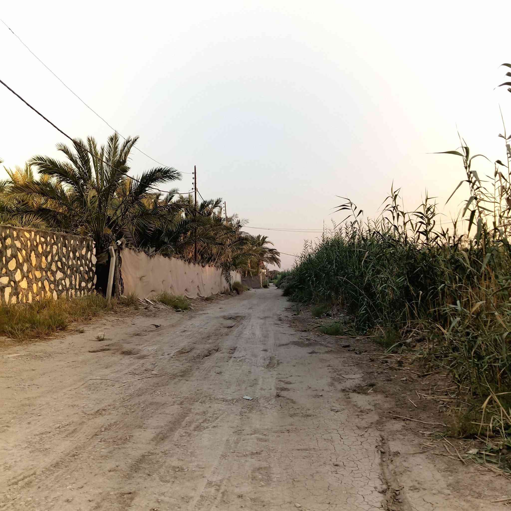 سلام عليكم  بيت اللبيع مساحه البيت 250متر وكاع دونم ونص بيت جاهز من كل النواحي  بيت بي 3غرف وصاله 7متار وغرفه 7متار وغرفتين5متار وحمام داخلي وخارجي  ومطبخ 4×4
 وخارجي  وستقبال خارجي 10متار بيت يكون قريب من مدرسه بعد 50متر ومحوله تقرب 50متر ماي 💦 اساله بوري في  بالباب  المكان دوانيه دغارة قرب سيطرت الدغارة ومدرسه زيد شهيد     الاتصال والاستفسار ***********
