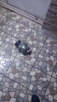 دكشن بارد هو والجويتر والحساسات كامل جدد شادهن  واتر بم  بور ستيرن جدي...