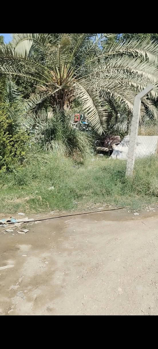 دار للبيع • حي الجمعيه • قرب شارع العام