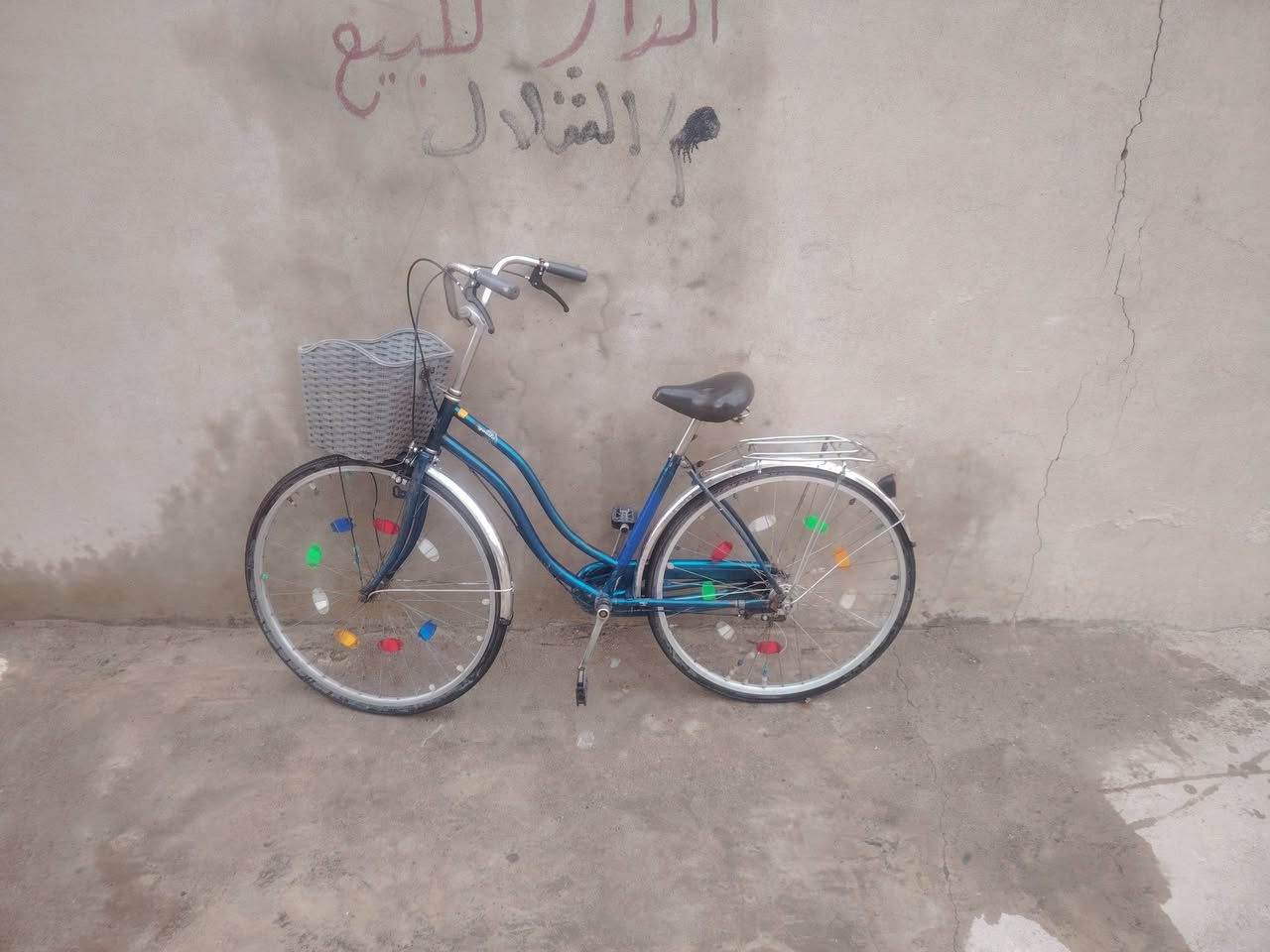 عبدالحليم • حجم ٢٧ • نضيف