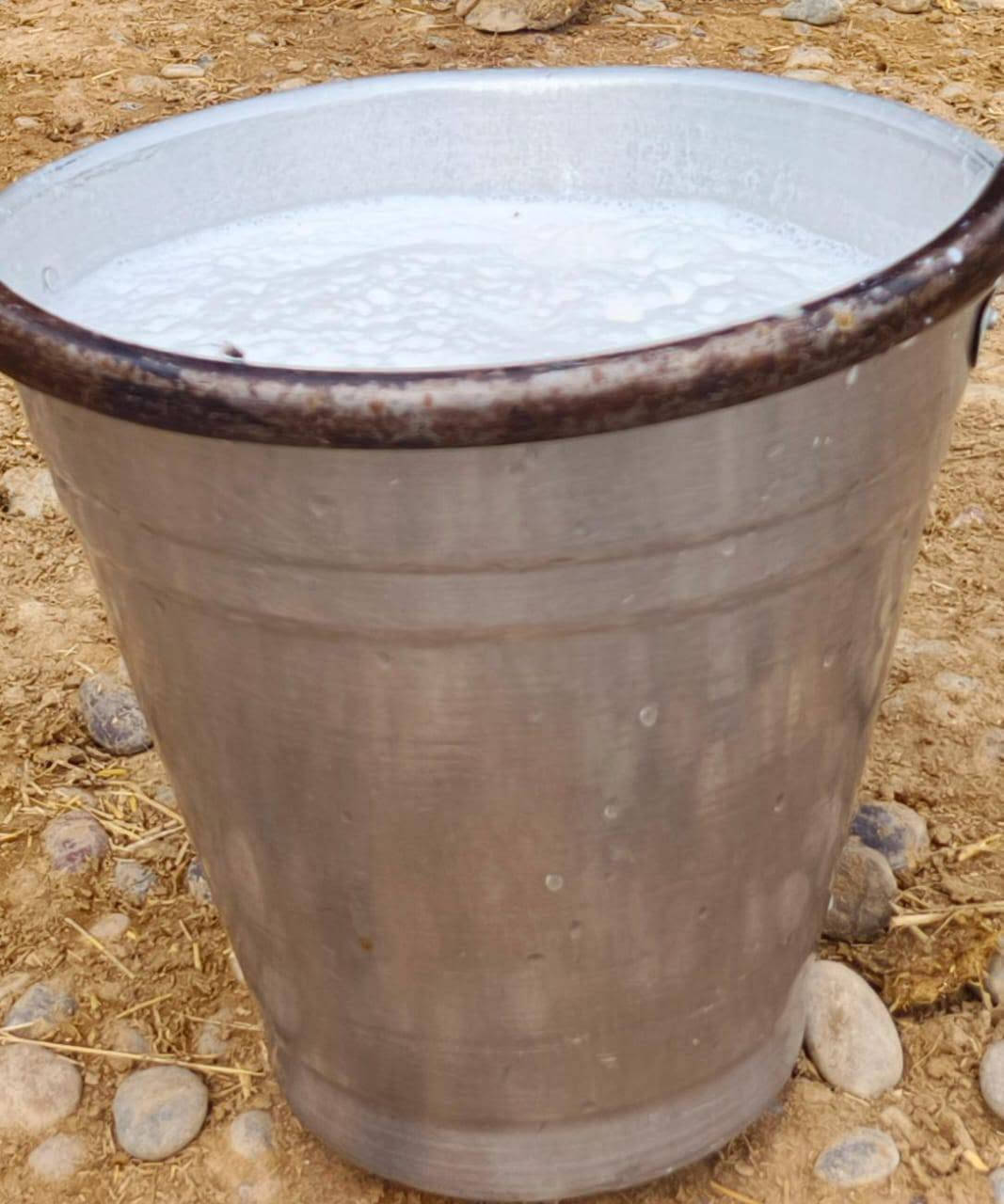 حلال • حليب • صلاح الدين الشراقاط