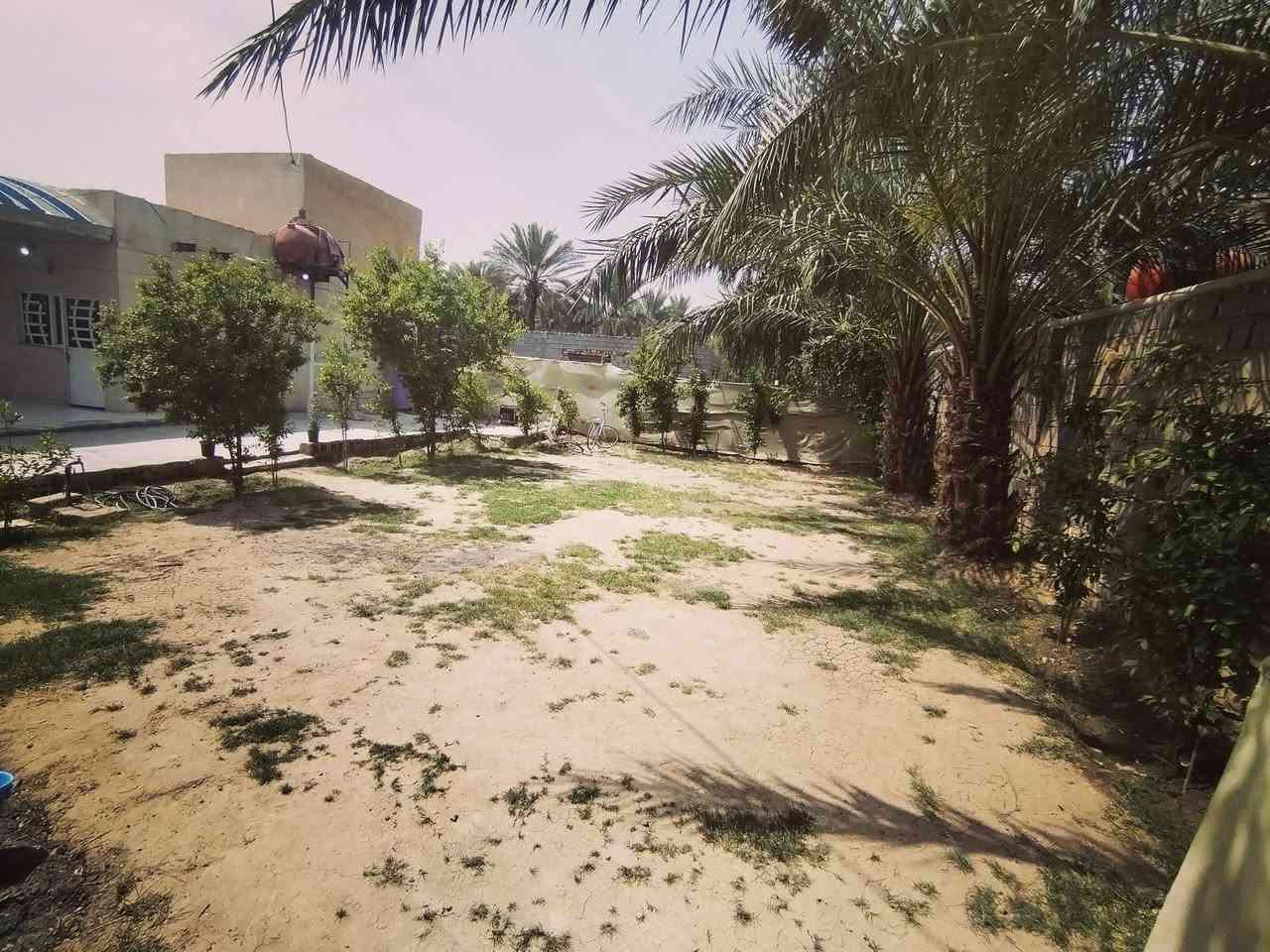 دار للبيع 🫱
مساحه البيت ٥٠٠م
جنس الارض زراعي بناء بلوك درجه أوله 
يتكون البيت من ٢ غرف نوم 
صاله واستقبال ومطبخ 
العنوان بابل قضاء المحاويل البدع قرب حي الشهداء سعر ٦٥ قابل للتفاوض ***********
