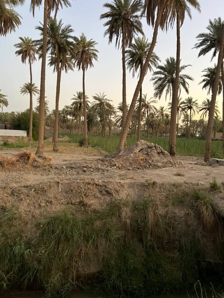 السلام عليكم ارض زراعيه ٦ دونم ع الشارع العام منطقه بكان مباشر باسمي شخصيا  سند ٢٥ تحويل مباشر كافه الخدمات ماء اساله ماء نهر كهرباء مدرسه قريبه كلش عليها  للاستفسار والتواصل ***********
