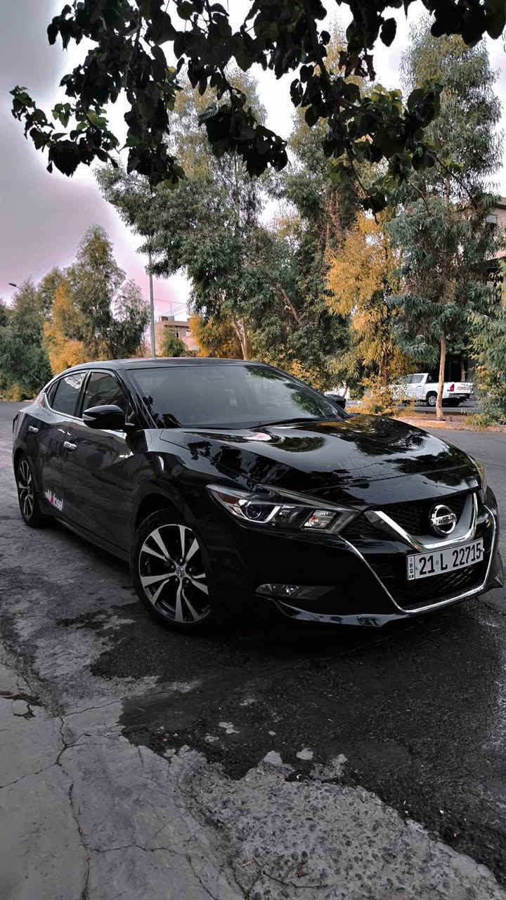 Nissan maxima 2017
Nissan Maxima 2017 SV – 300 HP 🔥

نيسان ماكسيما 2017 مواصفات SV، قوة 300 حصان 🔥

السيارة كلشي بيها مضبوط وقوي، ما بيها أي خدش، كلش هادئة ونظيفة ومحافظ عليها، بعدها تازة وكأنها جديدة، نموذج بالجمال والنظافة، وقوتها ما شاء الله قوية وعجيبة.

📍 الرقم سليمانية
📄 سنوية ووكالة، والسنوية جديدة لحد 2031
✅ بشرط كلشي بالسيارة يشتغل
💳 عندی کوبون بنزین 

المواصفات:

- كراسي جلد
- كرسين هيتَر + كهرباء
- مرايات هيتَر
- نظام ضد السرقة
- تبريد قوي جداً + Dual Zone
- شاشة كبيرة + ماوس
- كاميرا خلفية
- حساسات خلفية
- بصمة وشغّال
- تحكم بالفوليم من الستيرن
- گير إلكتروني + شاشة
- تبريد مركزي
- ساوند سيستم + أمبليفاير درجة أولى
- كامل سيرفس هيدروليك، زيت وفلاتر درجة أولى مسويلها
- گير أوتوماتيك
- مودات Sport / Normal / Traction
- لايتات LED
- وغيرها هواي مواصفات...

🔄 التبديل موجود همين

📍 سليمانية
📞 ***********

نص مكتوب في الصور:
- Motosel