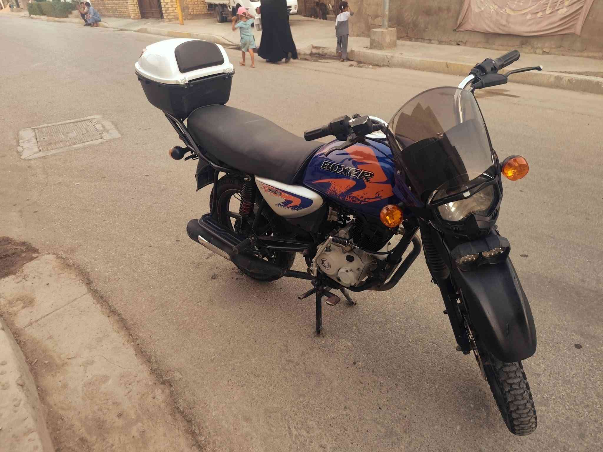 بوكسر جبلي • ٢٠٢٣ • بدون اوراق