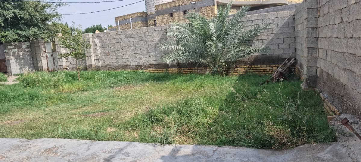 🧿 للبيع بيتين زراعي 🧿
على طريق الشركات – على الشارع الرئيسي مباشرة الواجهه تصلح محلات

 البيت الأول:

▪️ المساحة: 600 متر

▪️ يتكون من:

4 غرف نوم

صالتين

استقبال

مطبخ

حمام داخلي

صحيات خارجية

حديقة واسعة

كراج يتسع لـ 4 سيارات

🧿 البيت الثاني:

▪️ المساحة: 300 متر

▪️ يتكون من:

غرفتين

صالة

استقبال

مطبخ

منور

حمام داخلي

صحيات خارجية حديقه داخل البيت 

كراج يتسع لـ 3 سيارات

✨ المميزات:

✔️ موقع حيوي على الشارع العام

✔️ متوفر جميع الخدمات

✔️ مناسب للسكن أو الاستثمار

📞 للاستفسار  أكثر ألاتصال على الارقام التالية 

***********

*********** يتوفر وتساب

نص مكتوب في الصور:
- أعجبني تعليق مشاركة