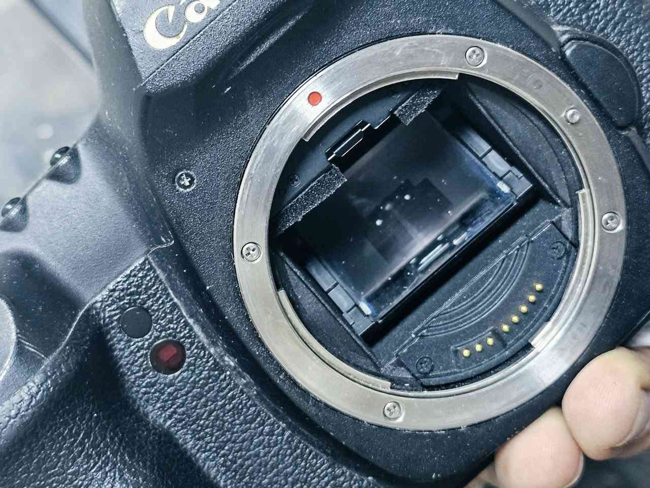 كانون 5D مارك2 • عدسة 50mm • عدسة 70-300 منوال
