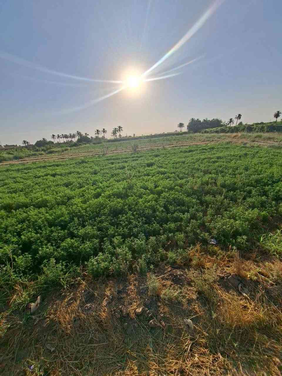 قطعه ارض طابو صرف.    

دونم نص. 
تبعد عن سريع بغداد موصل   ٥داقائق

***********. وتساب   
خدمات ماي كهرباء
