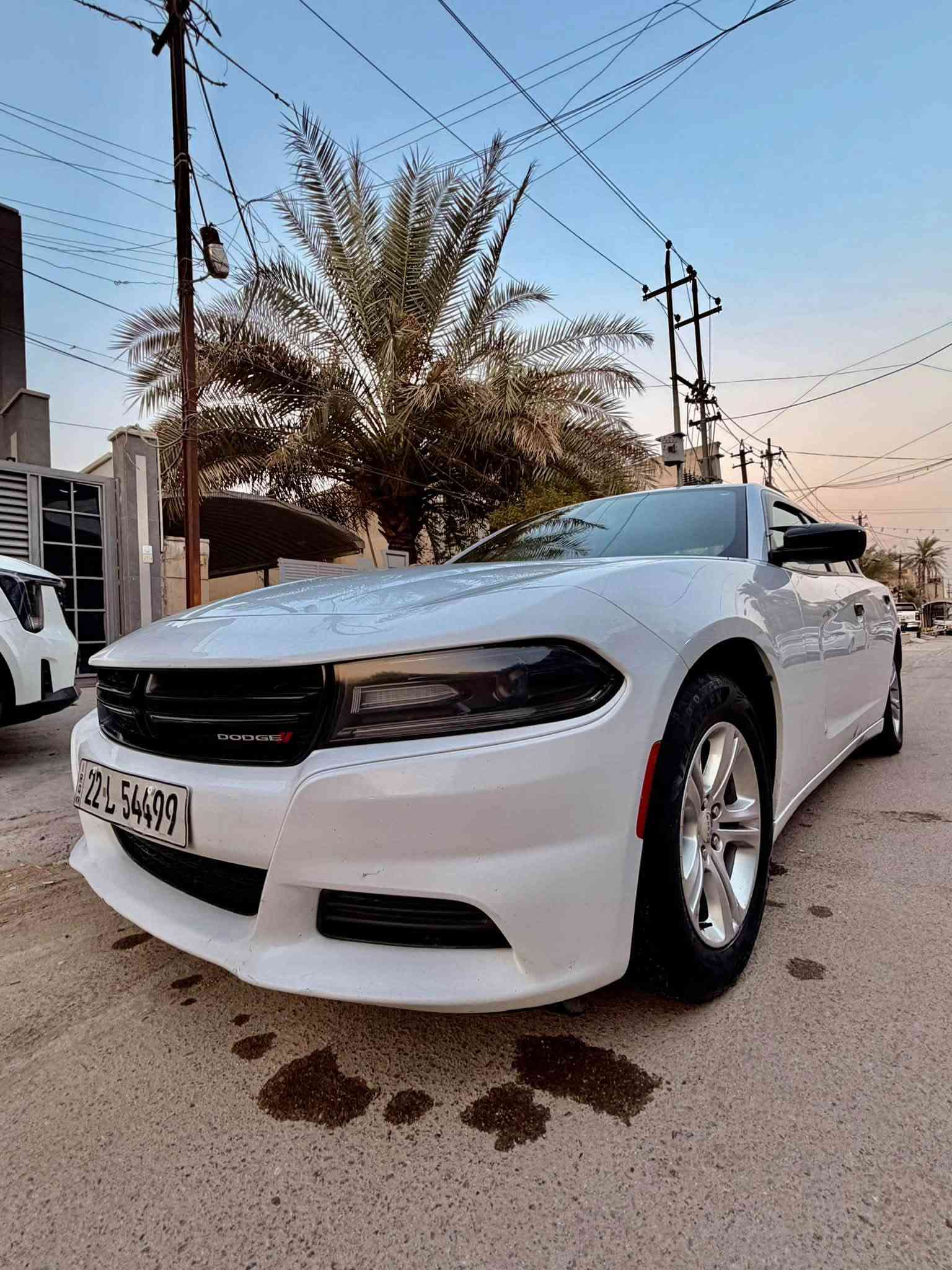 السلام عليكم 
جارجر خليجي هارلم 2019 sxt
مواصفات الsxt 
ماشية 91,500 ميل
بيهه طخة خفيفة بالجاملغ الخلفي ومصلح بارد 
وطخة خفيفة ( موضحة بالصور ) خشم الجاملغ الامامي
الباقي مكفول كير محرك 
صدر تايرات جدد 

***********
