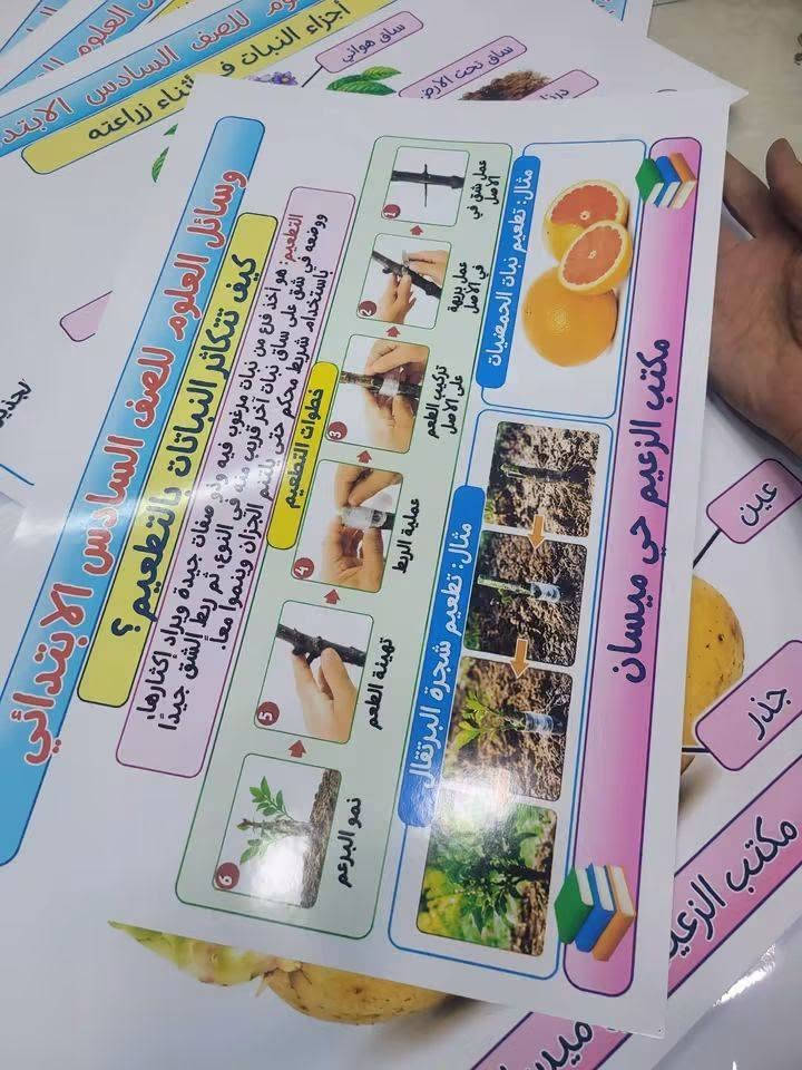 وسائل العلوم سادس • ٦٠ بوستر • حي ميسان