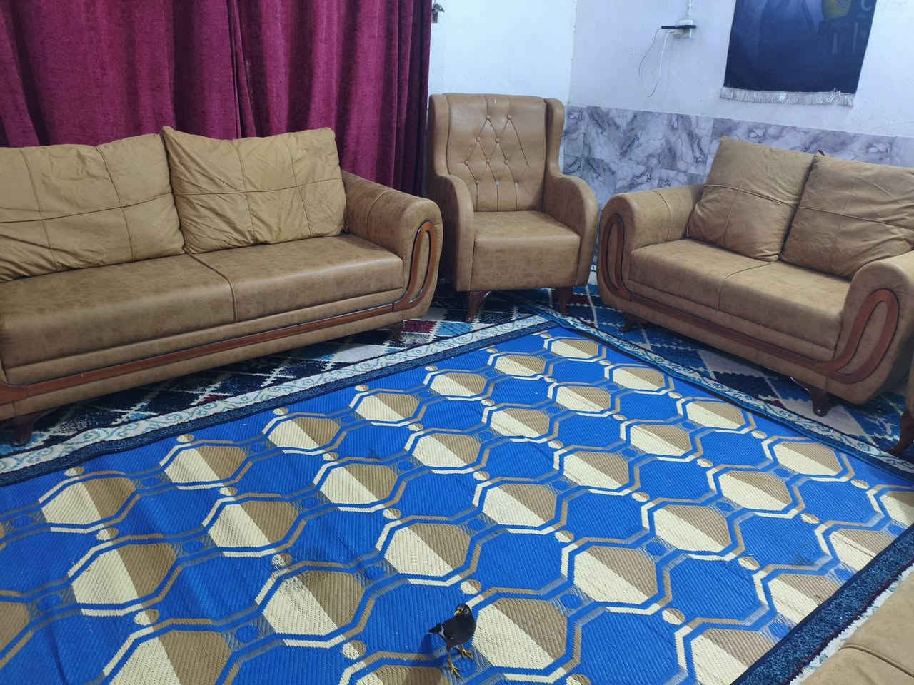 تخم  10 مقاعد تزكام درجى اولى نضافه 100/100 استخدام قليل كلش  خشب بلوك اسود قماش وتر برو سعره 325 وبي مجال مكاني كربلاء حي العامل يوجد توصيل بكروه *********** يوجد واتساب
