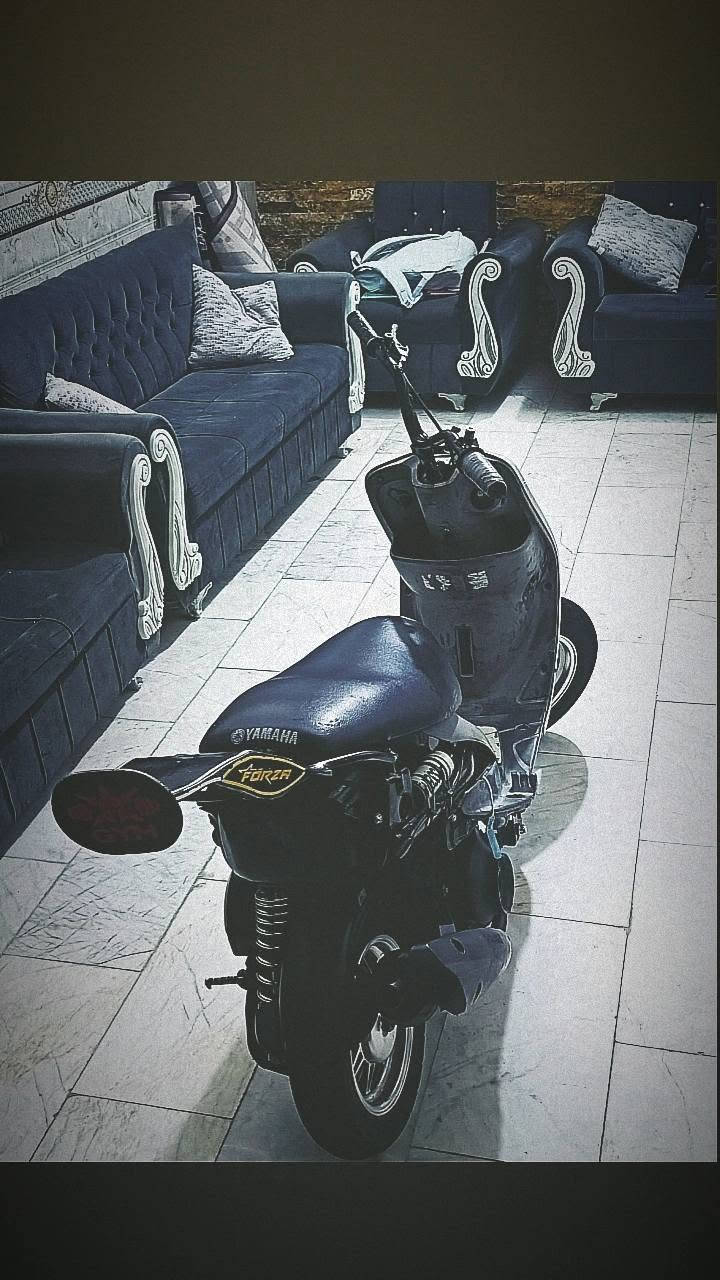 ٥٥ • شلعه • فول نعومه