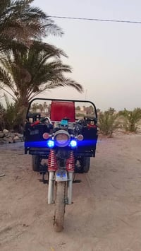 ستوته • ٢٠١٩ • أوراق أصلية