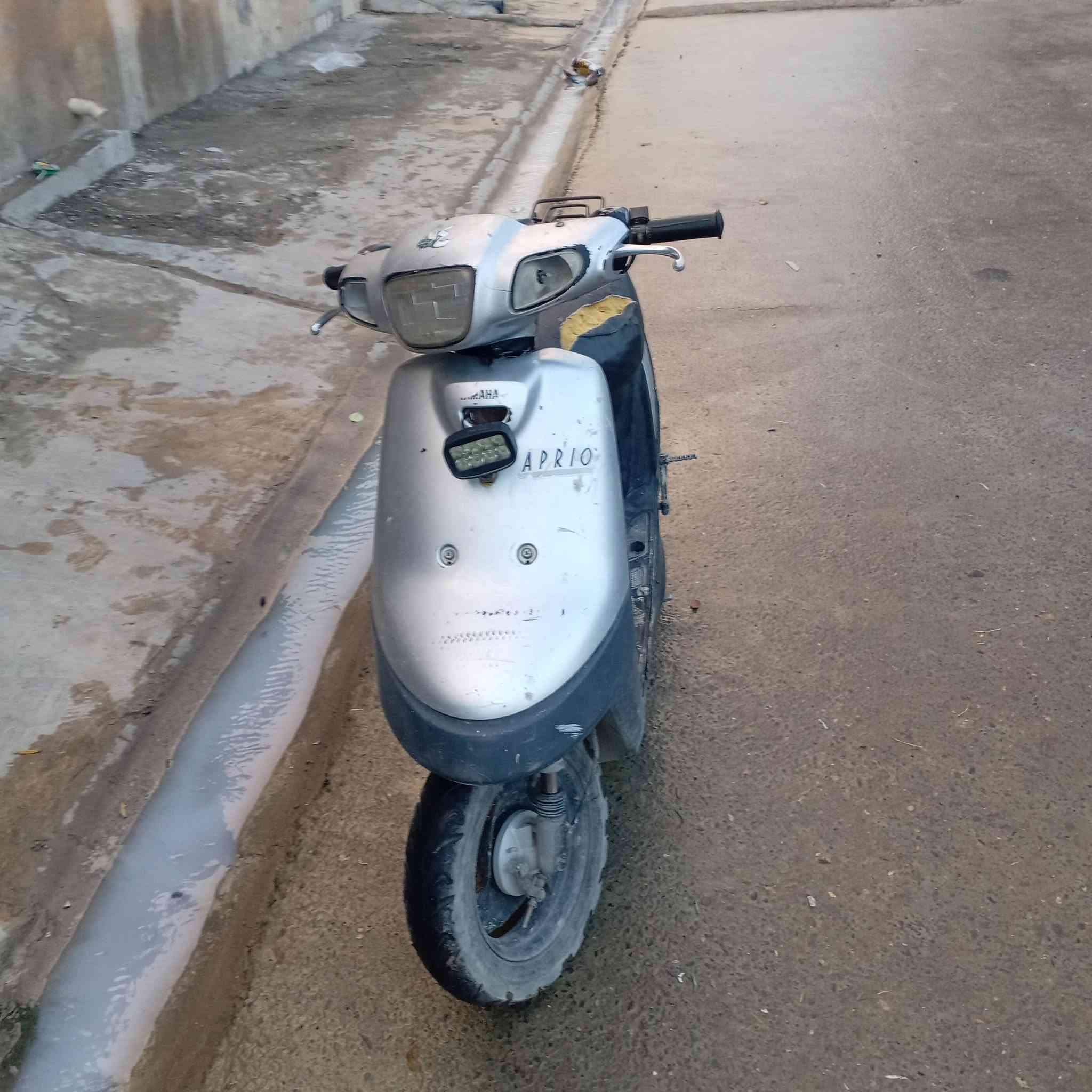 بوتين • مطوّر • يعوزو شغلات