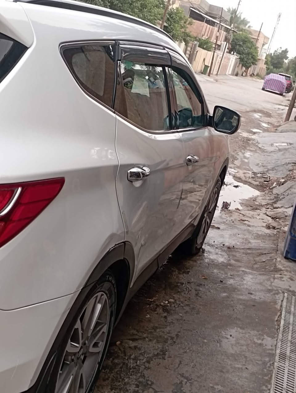 سنتافيا • ٢٠١٤ • رقم بابل