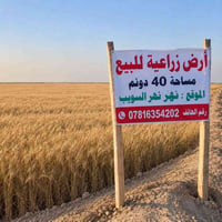 جتف نهر السويب • ٤٠ دونم • بسند