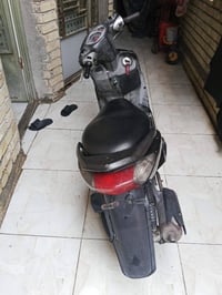 سكنس • ياباني • مكفولة