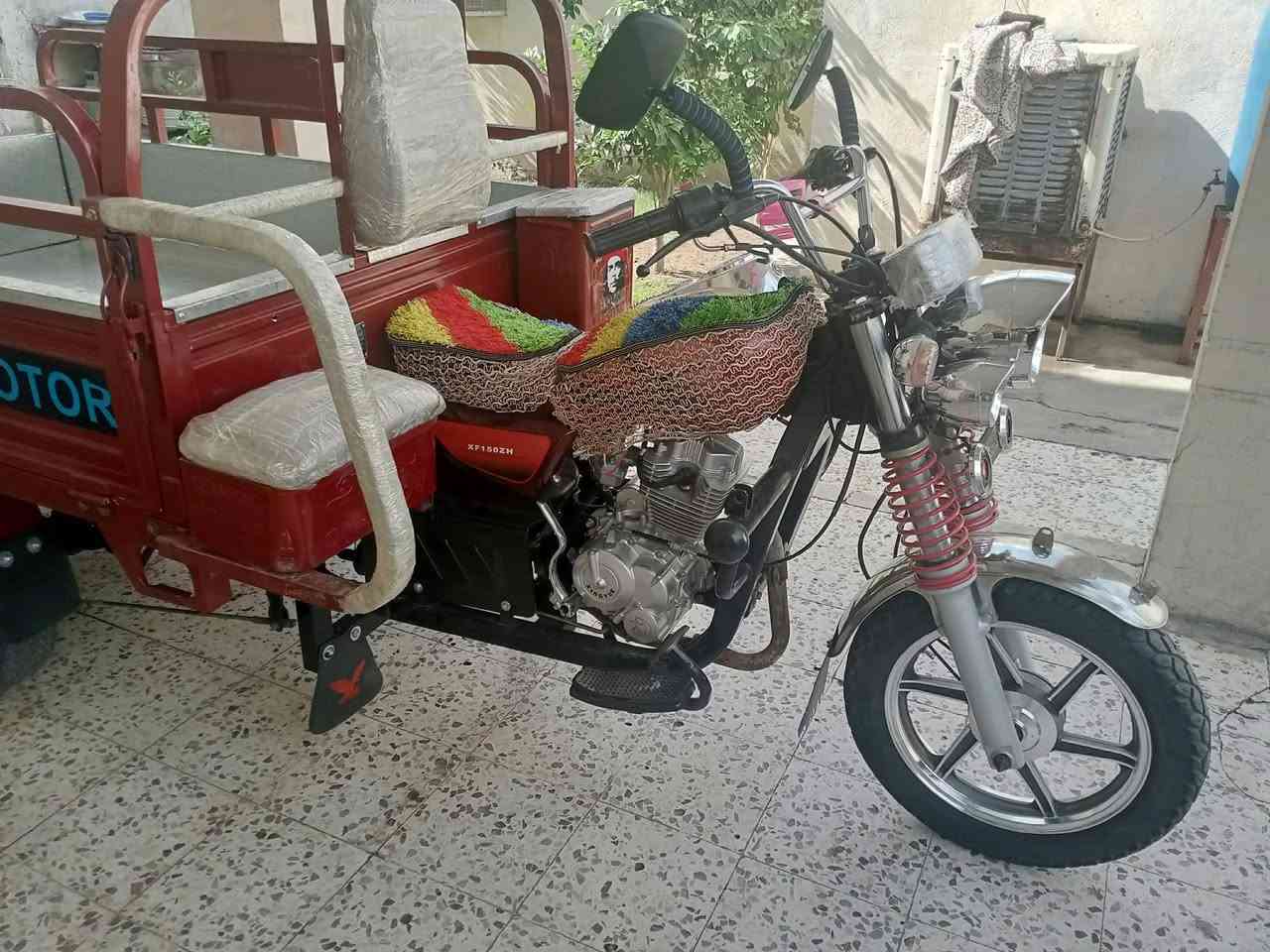 ستوته ام الطير • فحل • ٢٠٢٣
