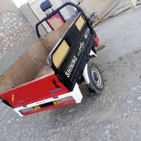 ستوته • فحل • شاصي شرط