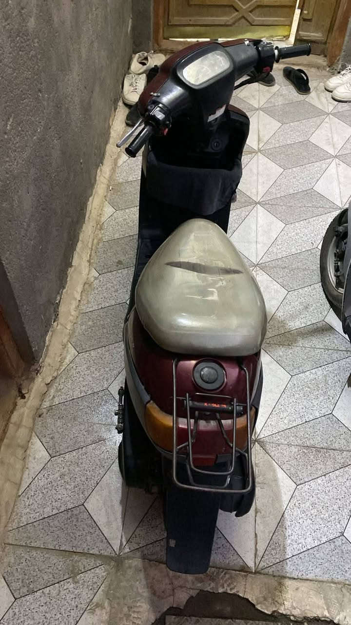 بتره فحل • نضيفه • مامفتوحه