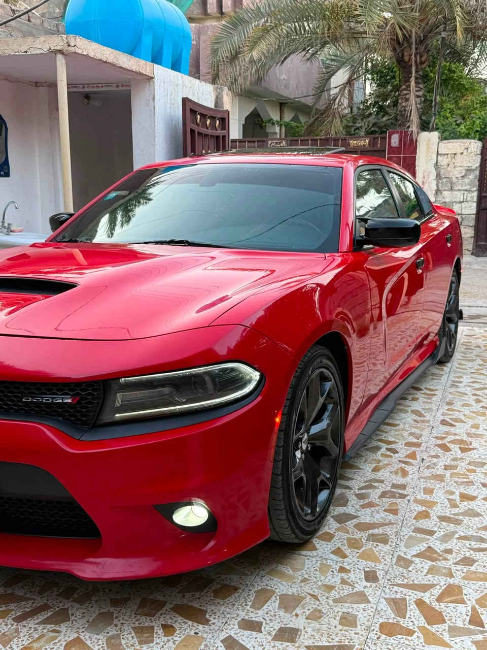 جارجر GT 2019 خليجي مكفولة 
رقم بغداد 
مكفولة 
للاستفسار اكثر الاتصال على الرقم 
مكاني ديالى
***********
