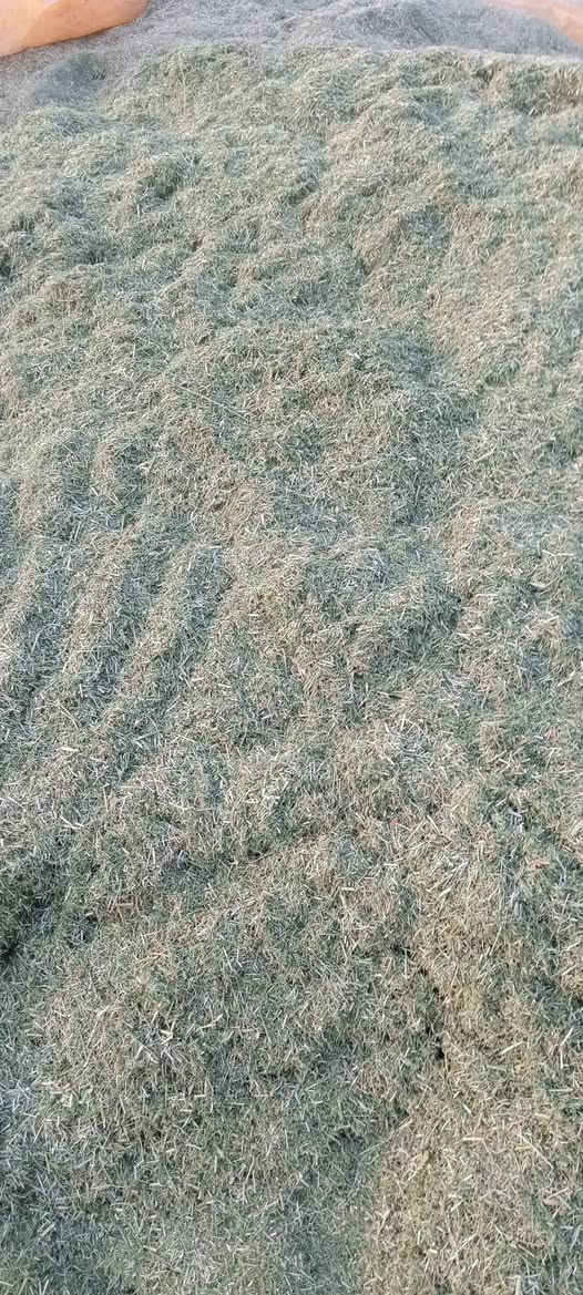 السلام عليكم يوجد جت مكروض نضيف العنوان الرفاعي تصال فقط مكلف بل نشر ***********
