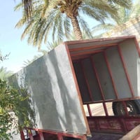 بابل القاسم • تزكام الاصلي • للبيع