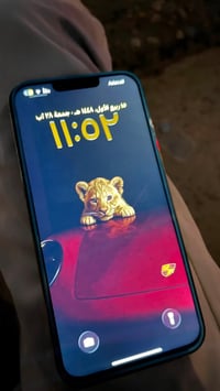آيفون ١٣ برو ماكس • ٢٥٦ • شاشة مبدلة