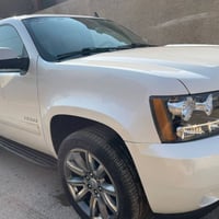 تاهو • ٢٠١١ • جلد عسلي