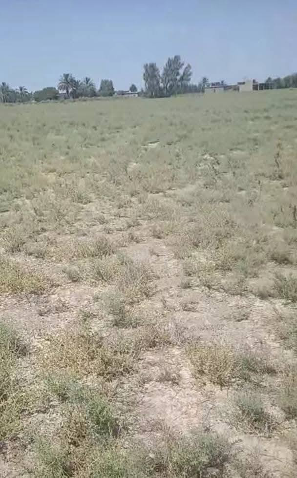 أرض • للبيع • بدون تفاصيل