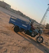 ستوته • مصبوغه • موديل ١٦