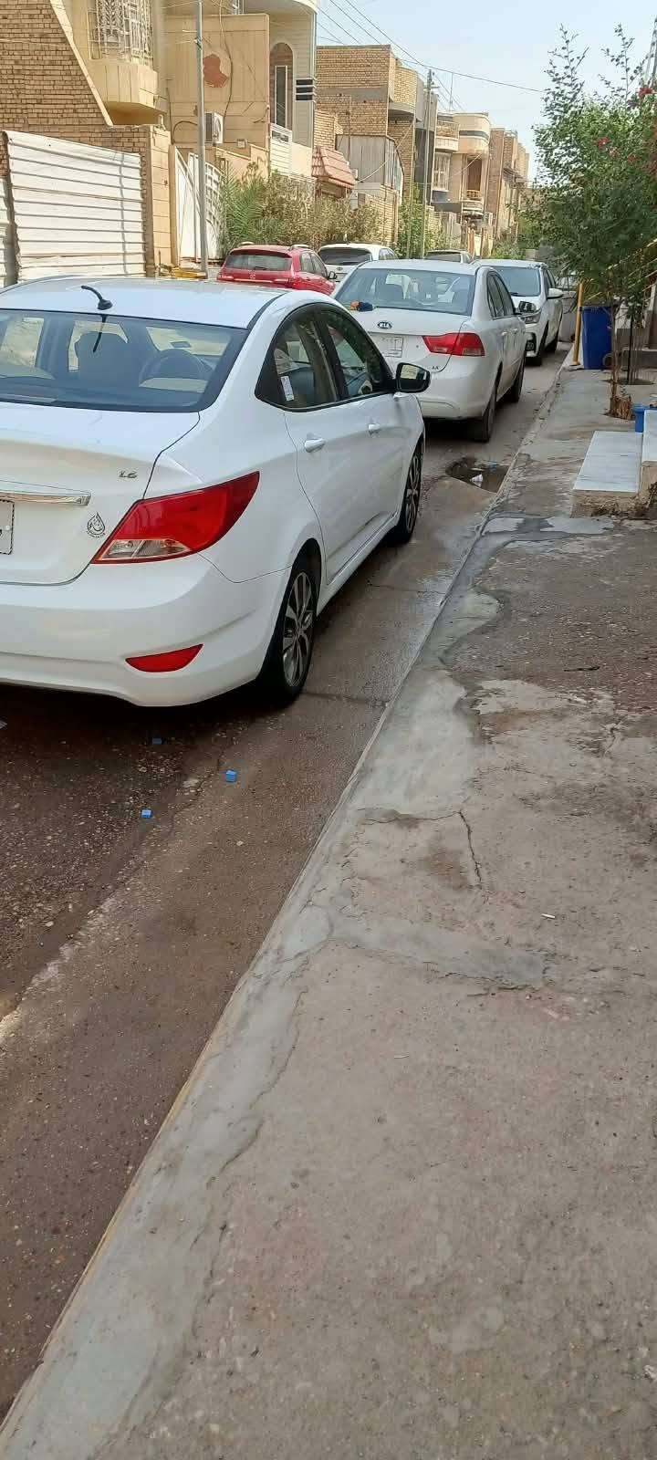 اكسنت • ٢٠١٦ • ٥٠الف