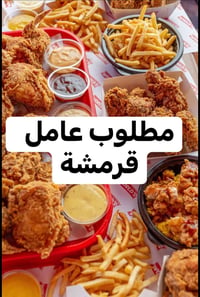 قرمشة • جكن العامرية • دوام ١٢م-١٢ل
