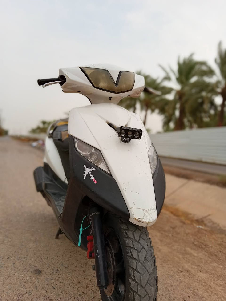 تاجي • سعر خاص • بيش رايده