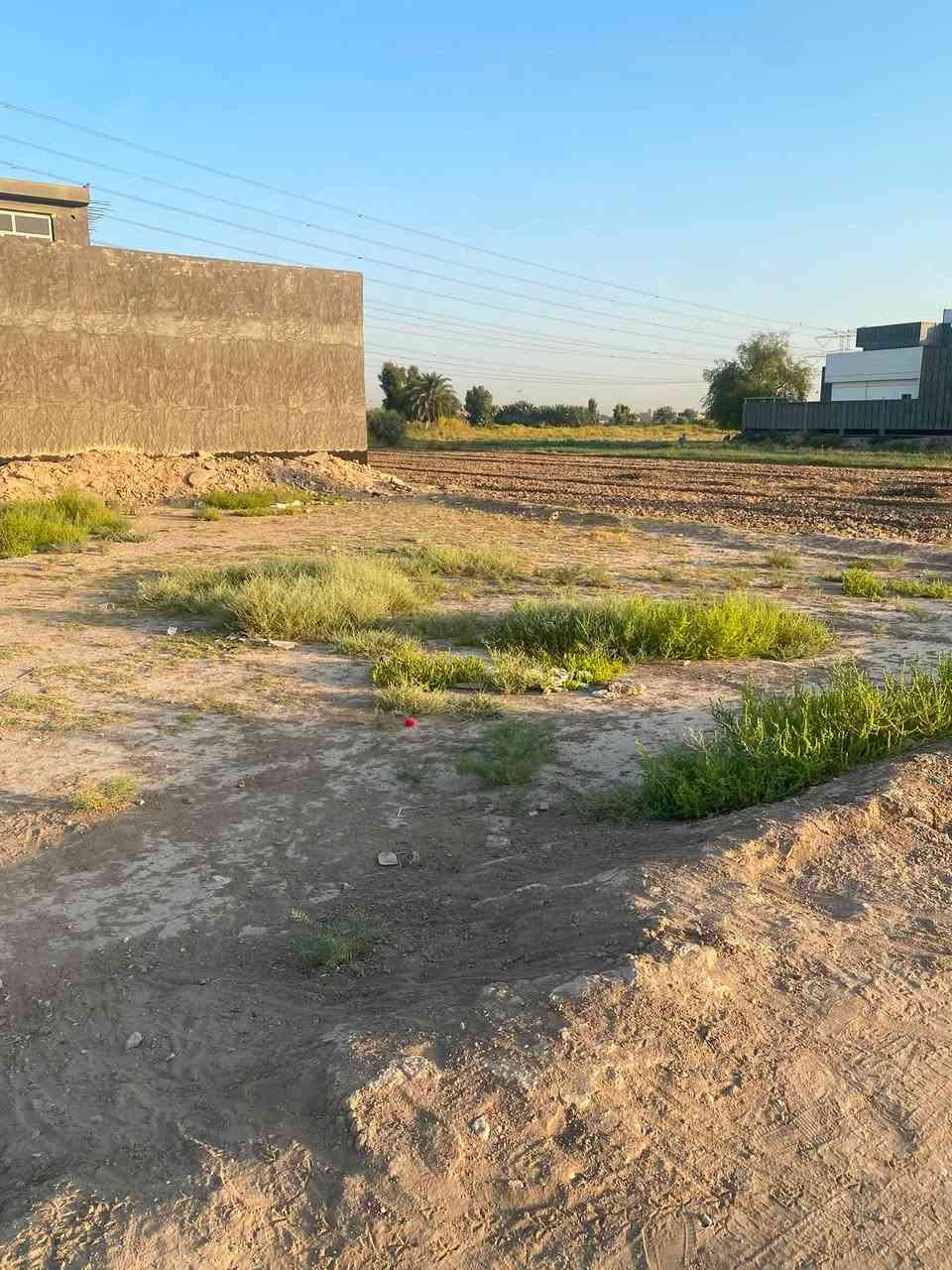 من ترخصت الادمن السلام عليكم قطع للبيع مساحة 250 مرت بابو زراعي واجهيه 10 ونزال 25  على طريق شريفة بنت الحسن ***********وهذا رقم اخوي اني مامتواجد ***********
